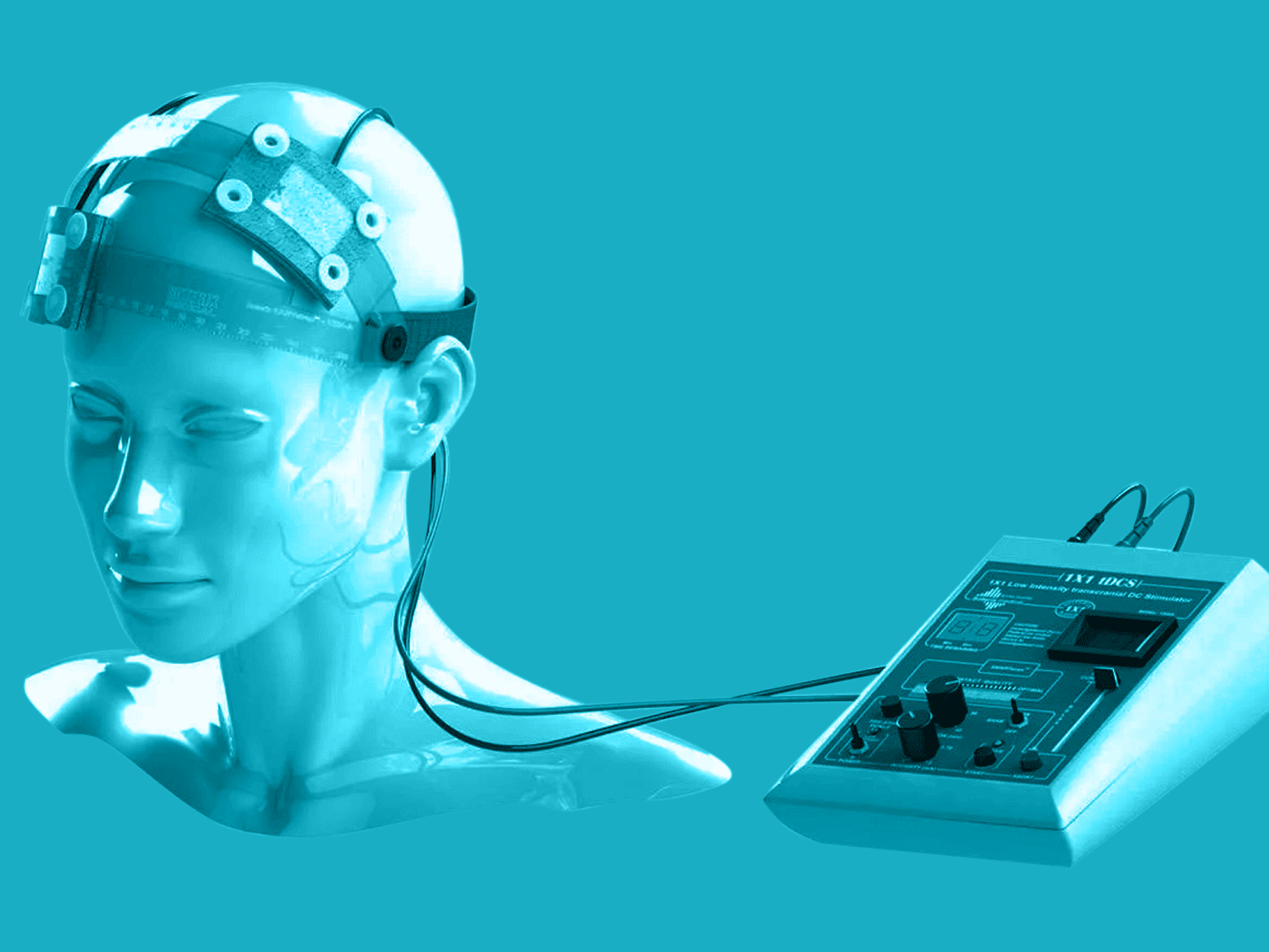 Главное изображение статьи