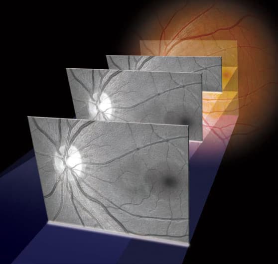 Главное изображение статьи