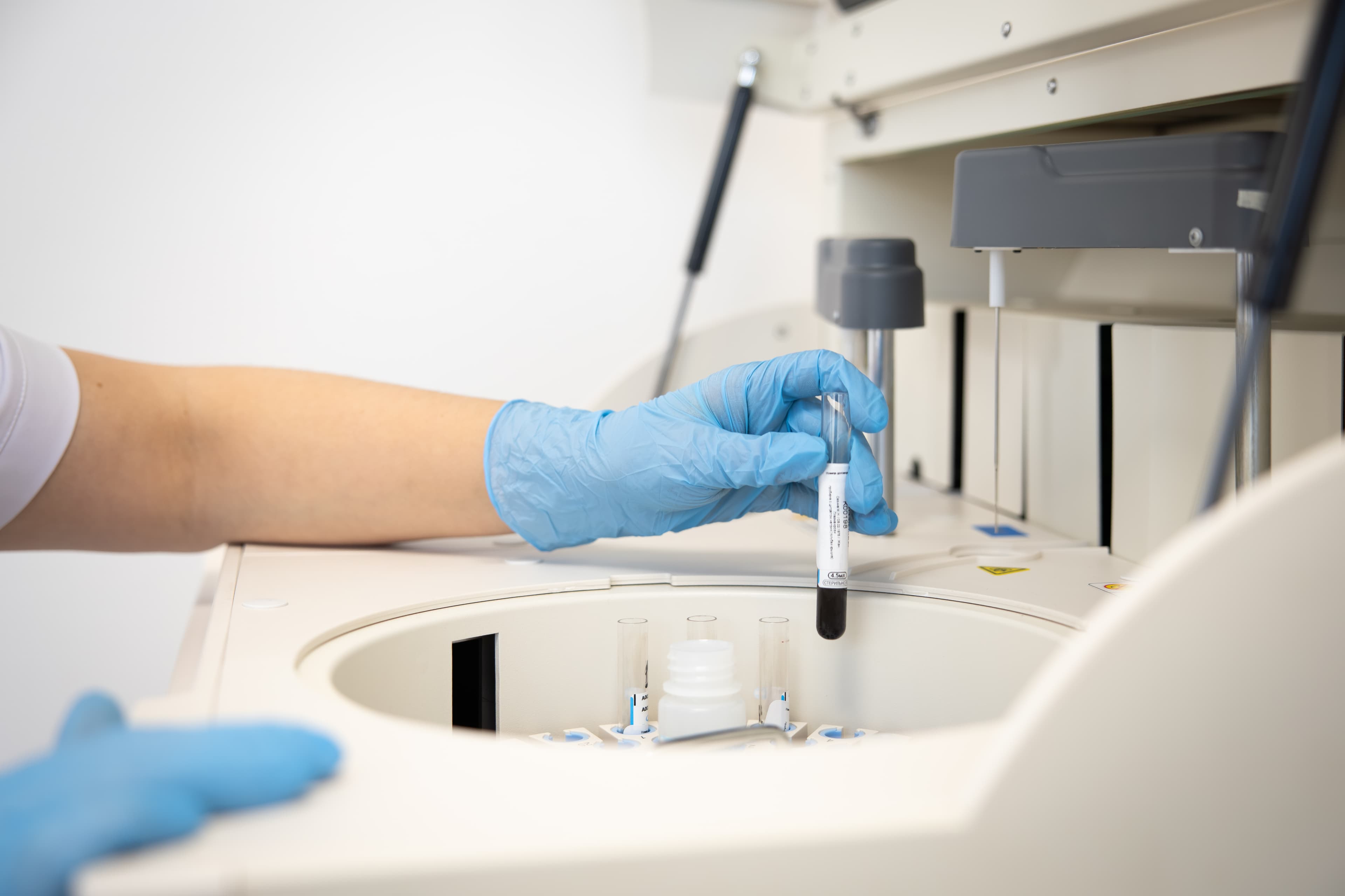 Главное изображение статьи